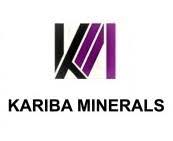 Kariba Minerals Limited-logo