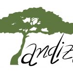 Tandiza Zambia Finance Ltd-logo