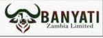 Banyati Zambia Limited-logo